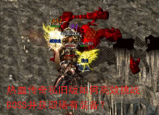 ��Ѫ����˽�ɰ���θ�Ч��սBOSS����ȡϡ��װ����