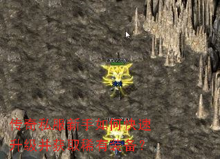 ����˽��������ο�����������ȡϡ��װ����