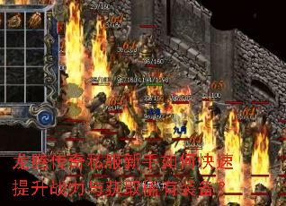 ���ڴ���˽��������ο�������ս�����ȡϡ��װ����