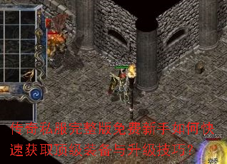 ����˽�����������������ο��ٻ�ȡ����װ�����������ɣ�