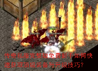 ����˽�����������������ο��ٻ�ȡ����װ�����������ɣ�