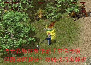 ����˽��SF�������ֳ�������������ν�������Լ���ȫ����