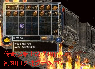 ����˽��������10���и���ο�������ս����