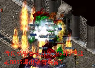 ����˽��˽����������ο���ˢBOSS����ϡ��װ����