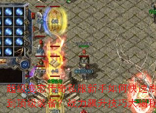 ������̬����˽��������ο���ˢ������װ����ս��������ɴ����