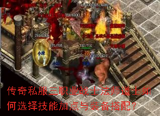 ����˽����ְҵսʿ��ʦ��ʿ���ѡ���ܼӵ���װ�����䣿