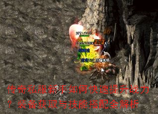 ����˽��������ο�������ս����װ����ȡ�뼼�ܴ���ȫ����