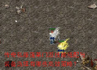 ����˽���������ɼ��ܴ�����װ��ѡ������Щ��Ч���ԣ�