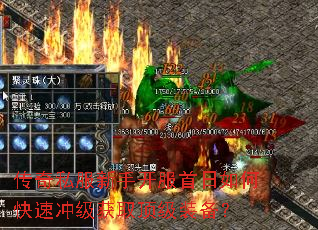 ����˽�����ֿ���������ο��ٳ弶��ȡ����װ����