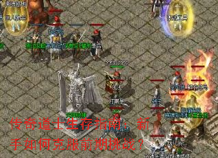 �����ʿ����ָ�ϣ�������ο˷�ǰ����ս��