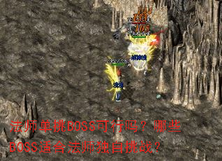 ��ʦ����BOSS��������ЩBOSS�ʺϷ�ʦ������ս��