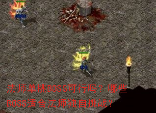 ��ʦ����BOSS��������ЩBOSS�ʺϷ�ʦ������ս��