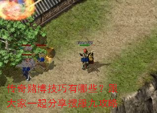 ����Ĳ���������Щ�������һ������ѷ��Ź���