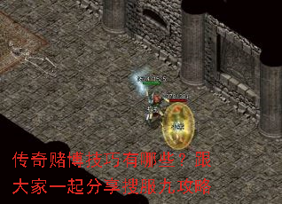 ����Ĳ���������Щ�������һ������ѷ��Ź���