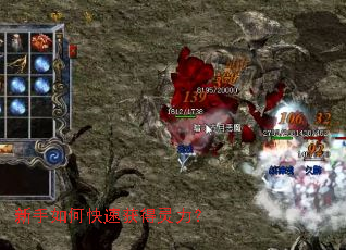 ������ο��ٻ��������