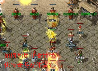 �������IP����Ż�������Ϸ���飿