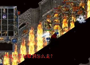 ��Ѫ�������ö���ô�ߣ�