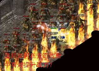 ��ʦ����ڱ�̬��������Ч����ս����