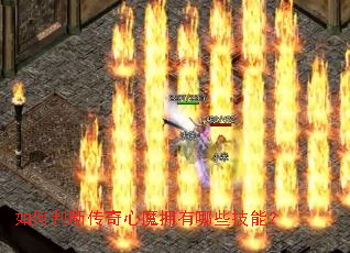 ����жϴ�����ħӵ����Щ���ܣ�