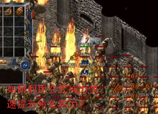 �������������������������ɫʵ����