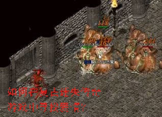 ����ڸ�����ʧ������Ϸ��Ѱ�Ұ��飿