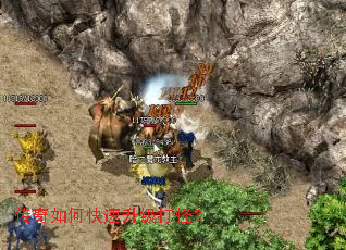 ������ο���������֣�