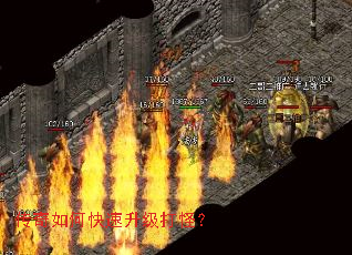 ������ο���������֣�