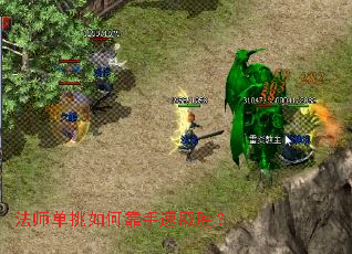 ��ʦ������ο�����ȡʤ��