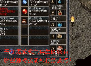 无忧魔龙教主伴生BOSS有哪些独特技能和打法要点? 无忧魔龙教主伴生BOSS有哪些独特技能和打法要点?