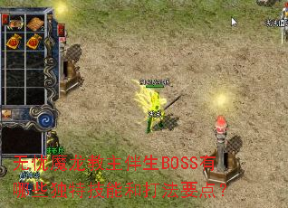 无忧魔龙教主伴生BOSS有哪些独特技能和打法要点? 无忧魔龙教主伴生BOSS有哪些独特技能和打法要点?
