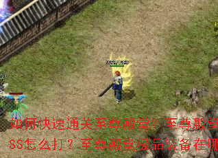 ��ο���ͨ��������ã������������BOSS��ô��������ü�Ʒװ�����ı���