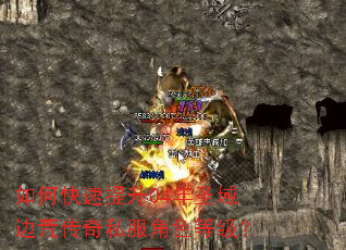 如何快速提升04年圣域边荒传奇私服角色等级? 如何快速提升04年圣域边荒传奇私服角色等级?