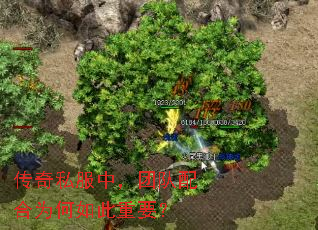 ����˽���У��Ŷ����Ϊ�������Ҫ��