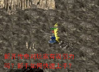 �¿�������������������������ο������֣�